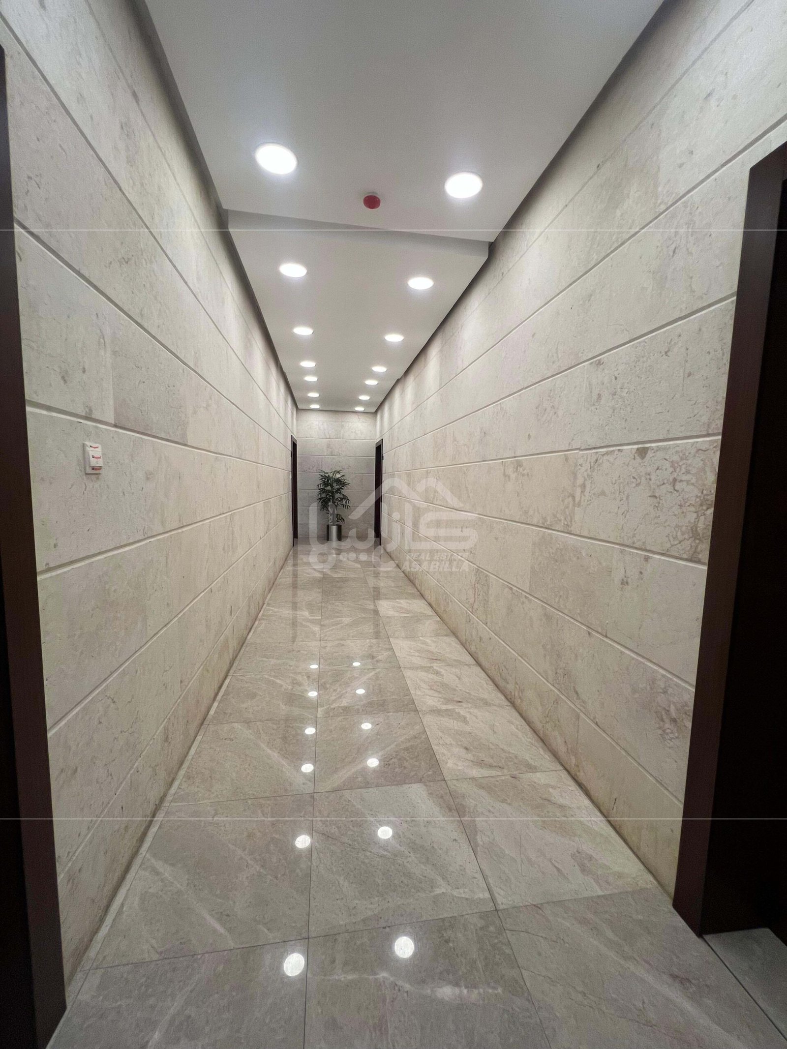 WhatsApp Image 2026-04-08 at 7.09.09 AM